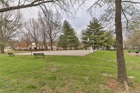 816 Pebblefield Ter, Manchester, MO 63021 photo 23