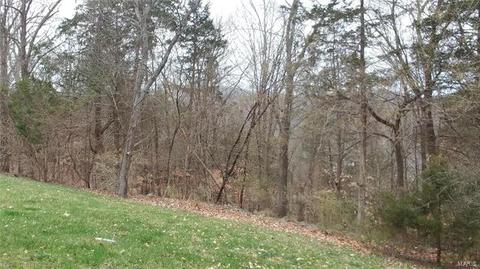 511 Vista Hills Ct, Eureka, MO 63025 photo 30