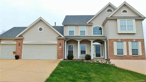 511 Vista Hills Ct, Eureka, MO 63025 photo 2