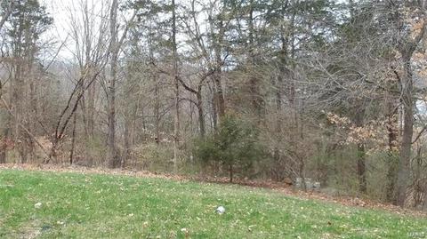 511 Vista Hills Ct, Eureka, MO 63025 photo 29