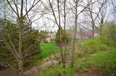 9 Merribrook Ct, O'fallon, MO 63368 photo 16