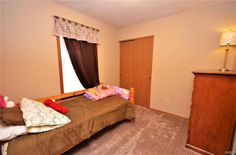 9 Merribrook Ct, O'fallon, MO 63368 photo 10