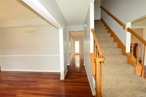 615 Audubon Place Ct, Ballwin, MO 63021 photo 18