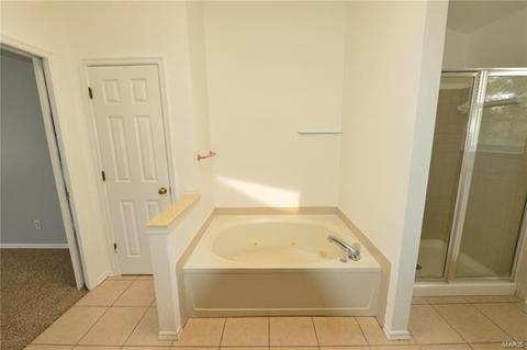 615 Audubon Place Ct, Ballwin, MO 63021 photo 24