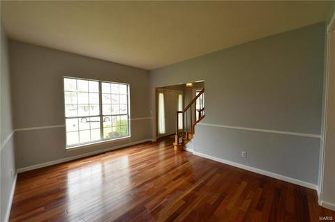 615 Audubon Place Ct, Ballwin, MO 63021 photo 16