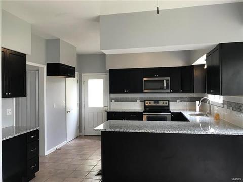 615 Audubon Place Ct, Ballwin, MO 63021 photo 4