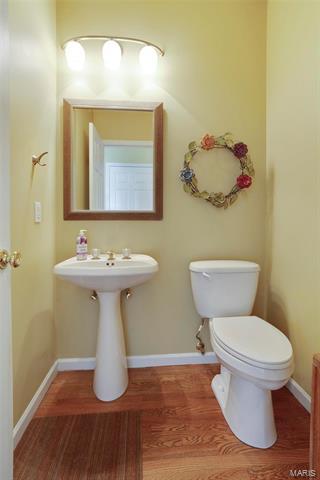 542 Eagles Nest Ct, Wildwood, MO 63011 photo 26