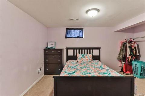 732 Winston Pl, O'fallon, MO 63366 photo 18