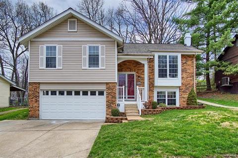 646 Running Creek Dr, Ballwin, MO 63021 photo 1