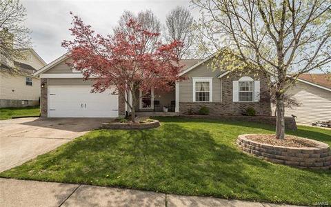 231 Birmingham Dr, O'fallon, MO 63366 photo 29