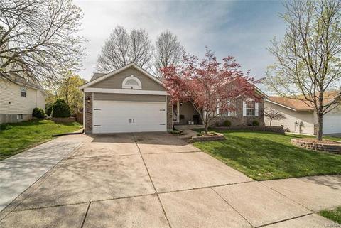 231 Birmingham Dr, O'fallon, MO 63366 photo 28