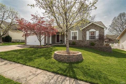 231 Birmingham Dr, O'fallon, MO 63366 photo 33