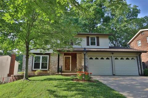 1055 Briarhurst Dr, Manchester, MO 63021 photo 4