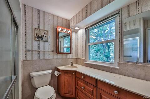1055 Briarhurst Dr, Manchester, MO 63021 photo 20