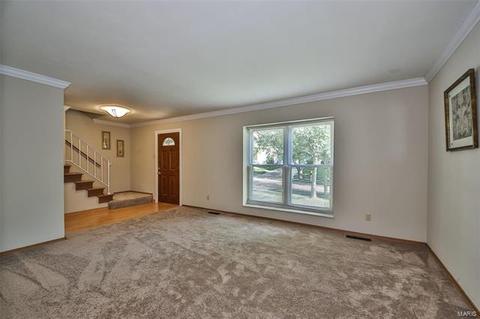 1055 Briarhurst Dr, Manchester, MO 63021 photo 6