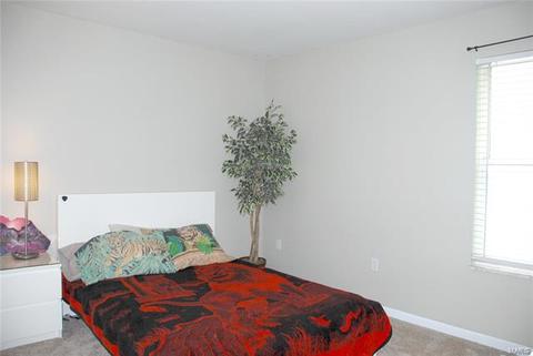 9 Hickory Valley Ct, Wildwood, MO 63011 photo 27
