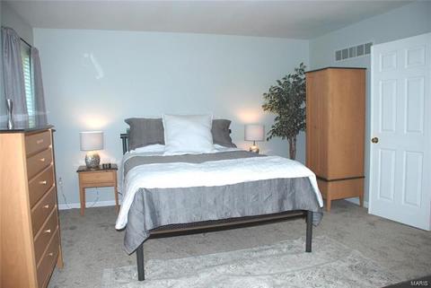 9 Hickory Valley Ct, Wildwood, MO 63011 photo 19
