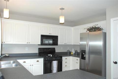 9 Hickory Valley Ct, Wildwood, MO 63011 photo 10