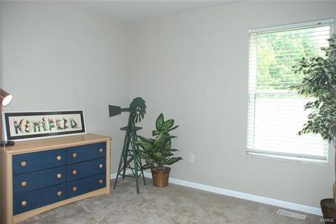 9 Hickory Valley Ct, Wildwood, MO 63011 photo 28