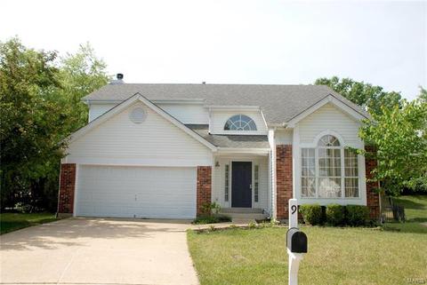 9 Hickory Valley Ct, Wildwood, MO 63011 photo 1