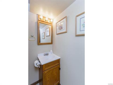 112 Old Oaks, Ballwin, MO 63011 photo 32