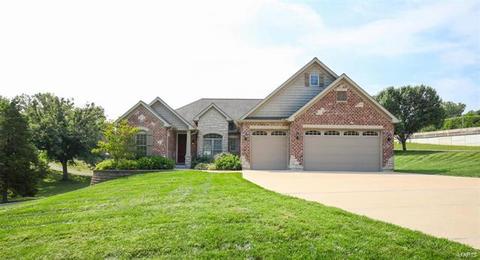 41 Mandalay Dr, Manchester, MO 63021 photo 1
