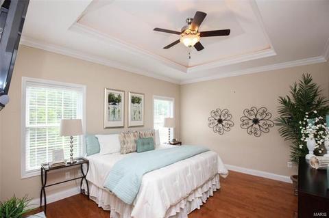 41 Mandalay Dr, Manchester, MO 63021 photo 17