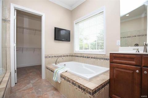 41 Mandalay Dr, Manchester, MO 63021 photo 19