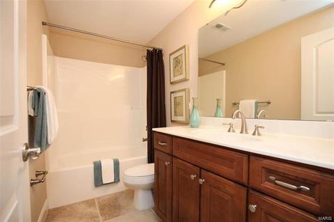 41 Mandalay Dr, Manchester, MO 63021 photo 24