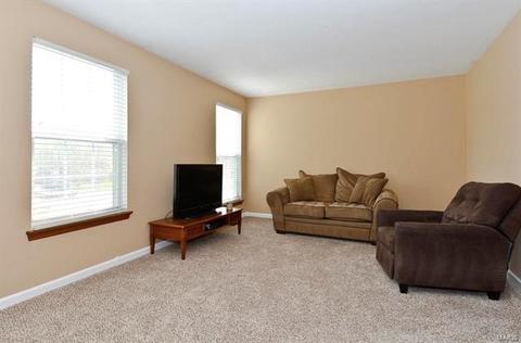 117 Wimbledon Ct, O'fallon, MO 63368 photo 17