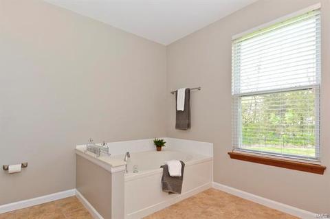 117 Wimbledon Ct, O'fallon, MO 63368 photo 22