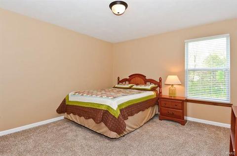 117 Wimbledon Ct, O'fallon, MO 63368 photo 29
