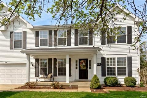 117 Wimbledon Ct, O'fallon, MO 63368 photo 40