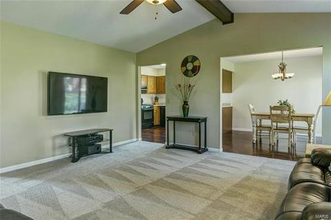 419 White Chapel Dr, O'fallon, MO 63368 photo 8