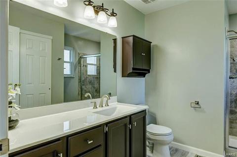 419 White Chapel Dr, O'fallon, MO 63368 photo 19