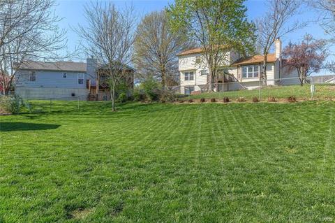 419 White Chapel Dr, O'fallon, MO 63368 photo 33
