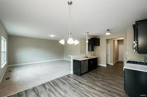 213 Thorn Brook Dr, O'fallon, MO 63366 photo 9
