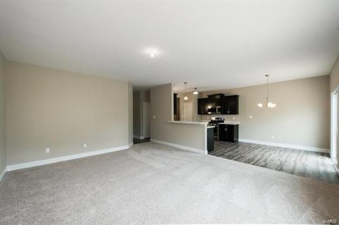 213 Thorn Brook Dr, O'fallon, MO 63366 photo 5