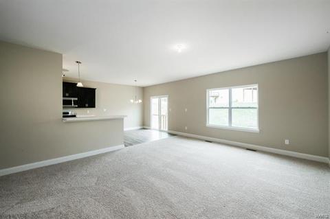 213 Thorn Brook Dr, O'fallon, MO 63366 photo 4