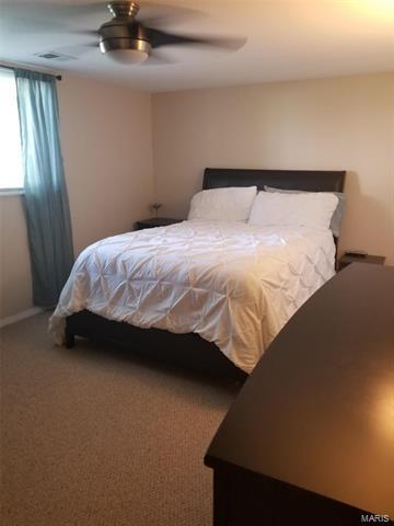 409 Wild Winds Dr, O'fallon, MO 63368 photo 14