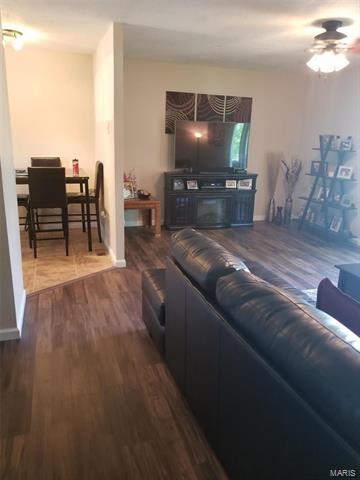 409 Wild Winds Dr, O'fallon, MO 63368 photo 7