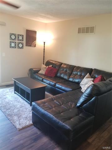 409 Wild Winds Dr, O'fallon, MO 63368 photo 6
