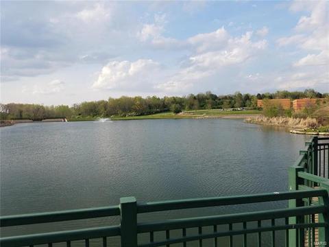 404 Maple Rise Path, Chesterfield, MO 63005 photo 48