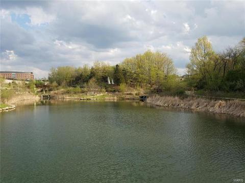 404 Maple Rise Path, Chesterfield, MO 63005 photo 49