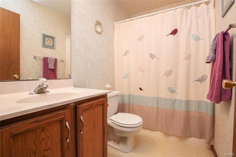 2615 Dunmore Cir, O'fallon, MO 63368 photo 33
