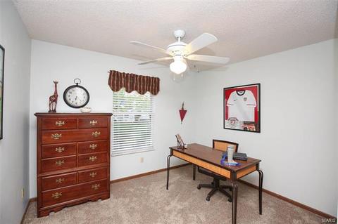 2615 Dunmore Cir, O'fallon, MO 63368 photo 34