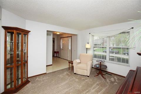 2615 Dunmore Cir, O'fallon, MO 63368 photo 8