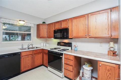2615 Dunmore Cir, O'fallon, MO 63368 photo 18