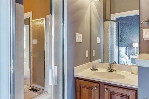 1254 Polo Lake Dr, Ellisville, MO 63021 photo 22