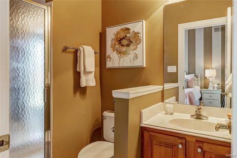 1254 Polo Lake Dr, Ellisville, MO 63021 photo 21